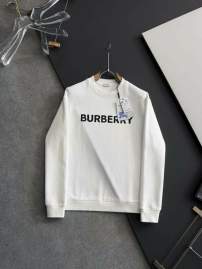Picture of Burberry Sweatshirt _SKUBurberryS-2XLtltx24331023